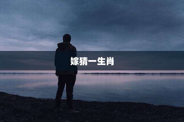 嫁猜一生肖