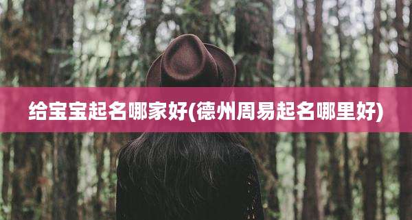 给宝宝起名哪家好(德州周易起名哪里好)