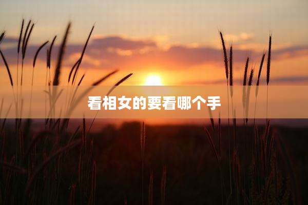 看相女的要看哪个手