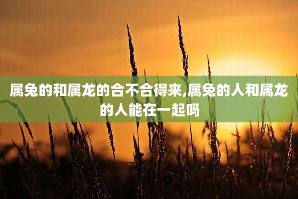 属兔的和属龙的合不合得来,属兔的人和属龙的人能在一起吗