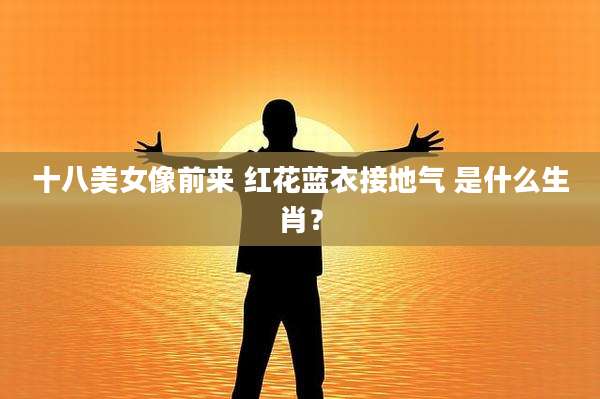 十八美女像前来 红花蓝衣接地气 是什么生肖？