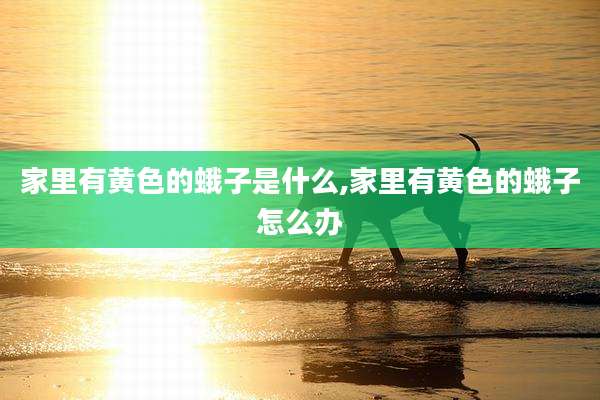家里有黄色的蛾子是什么,家里有黄色的蛾子怎么办
