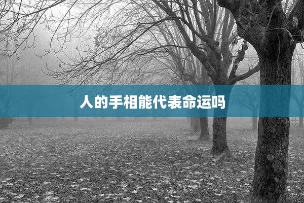 人的手相能代表命运吗