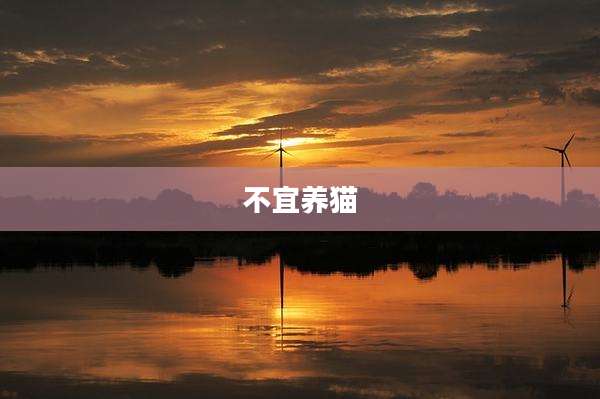 不宜养猫