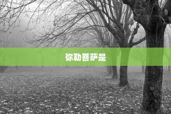 弥勒菩萨是