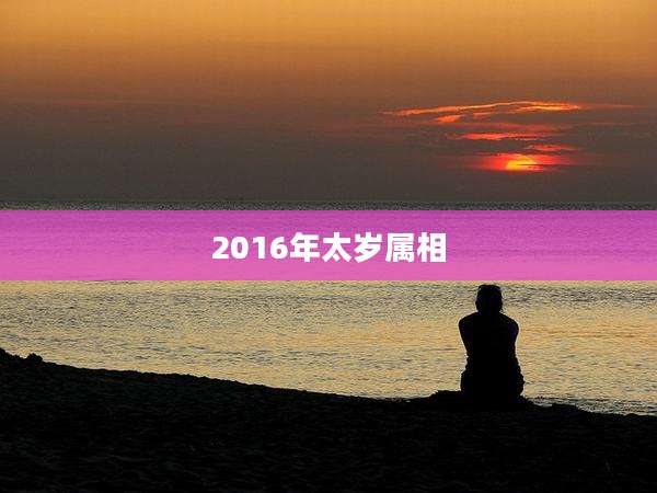 2016年太岁属相