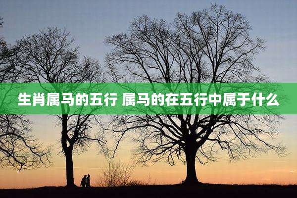 生肖属马的五行 属马的在五行中属于什么