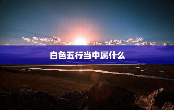 白色五行当中属什么