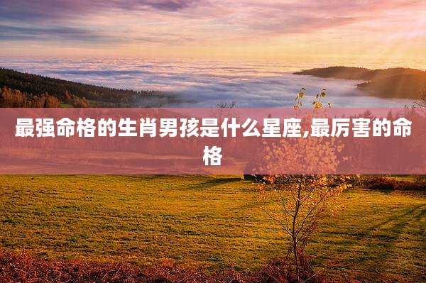 最强命格的生肖男孩是什么星座,最厉害的命格
