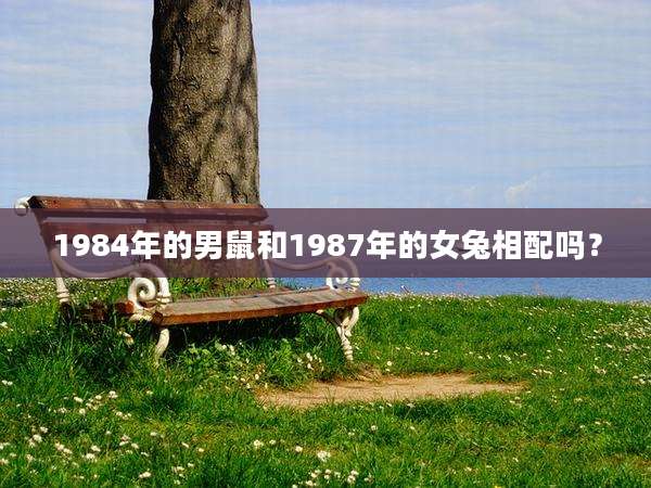 1984年的男鼠和1987年的女兔相配吗?
