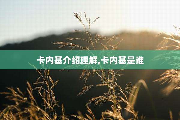 卡内基介绍理解,卡内基是谁