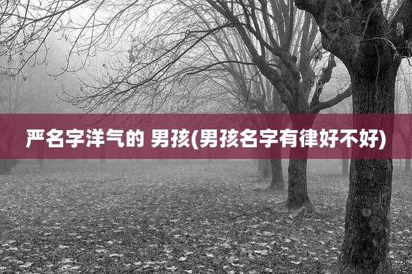 严名字洋气的 男孩(男孩名字有律好不好)