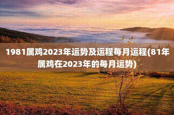 1981属鸡2023年运势及运程每月运程(81年属鸡在2023年的每月运势)
