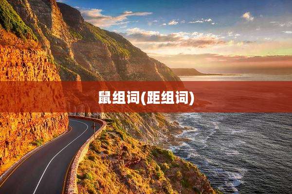 鼠组词(距组词)
