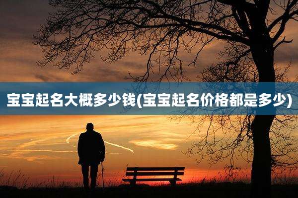 宝宝起名大概多少钱(宝宝起名价格都是多少)