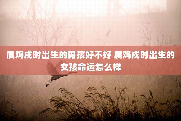 属鸡戌时出生的男孩好不好 属鸡戌时出生的女孩命运怎么样