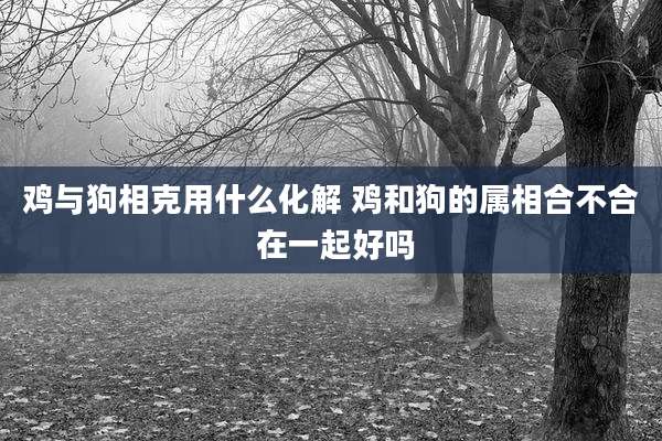 鸡与狗相克用什么化解 鸡和狗的属相合不合 在一起好吗