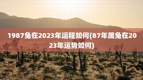 1987兔在2023年运程如何(87年属兔在2023年运势如何)