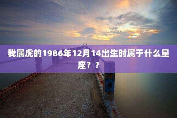 我属虎的1986年12月14出生时属于什么星座？？