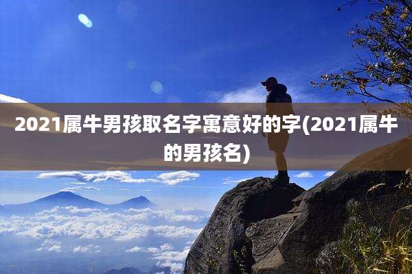 2021属牛男孩取名字寓意好的字(2021属牛的男孩名)