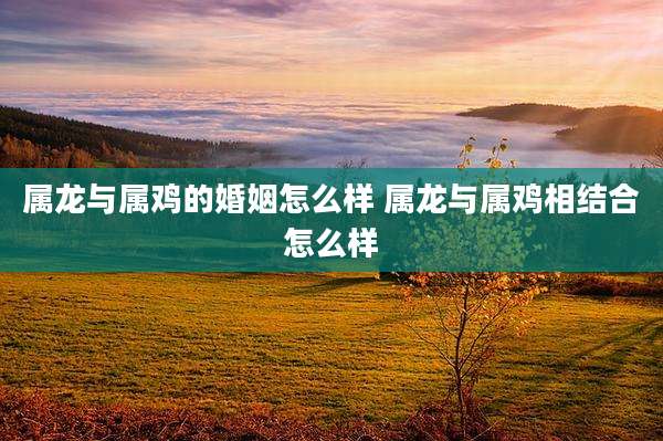 属龙与属鸡的婚姻怎么样 属龙与属鸡相结合怎么样
