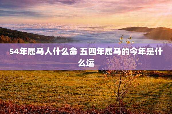 54年属马人什么命 五四年属马的今年是什么运