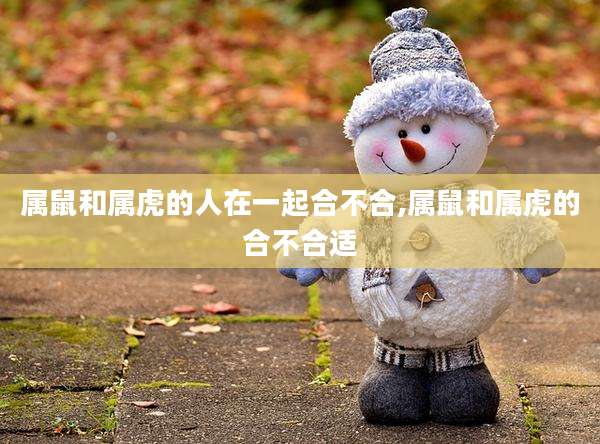 属鼠和属虎的人在一起合不合,属鼠和属虎的合不合适
