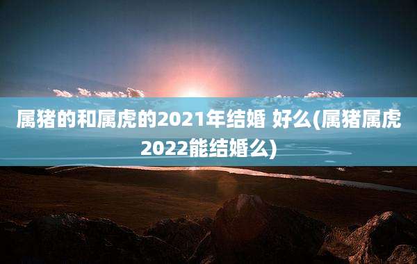 属猪的和属虎的2021年结婚 好么(属猪属虎2022能结婚么)