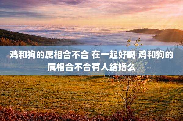 鸡和狗的属相合不合 在一起好吗 鸡和狗的属相合不合有人结婚么
