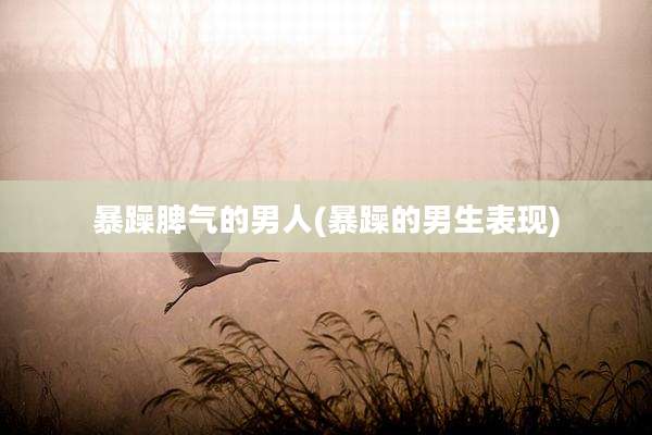 暴躁脾气的男人(暴躁的男生表现)