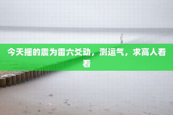 今天摇的震为雷六爻动，测运气，求高人看看