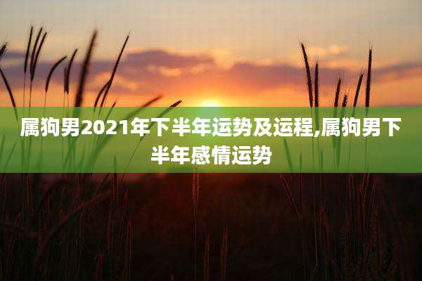 属狗男2021年下半年运势及运程,属狗男下半年感情运势