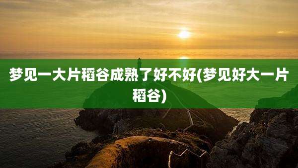 梦见一大片稻谷成熟了好不好(梦见好大一片稻谷)