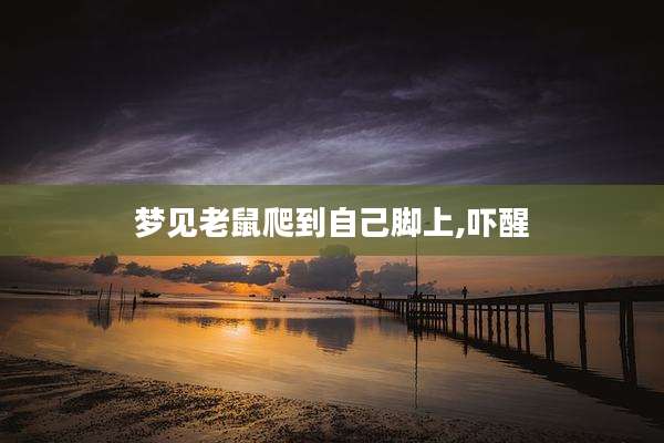 梦见老鼠爬到自己脚上,吓醒