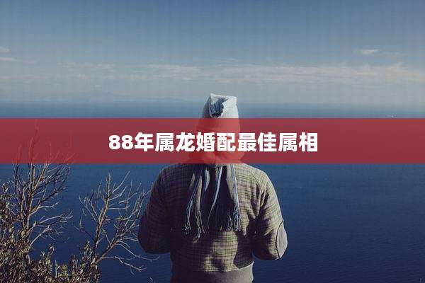 88年属龙婚配最佳属相