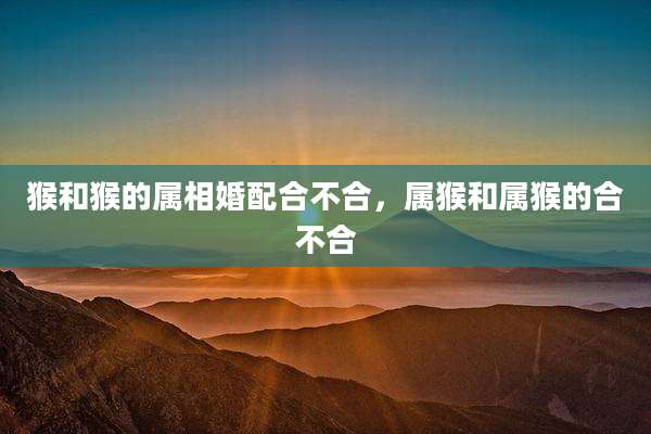 猴和猴的属相婚配合不合，属猴和属猴的合不合