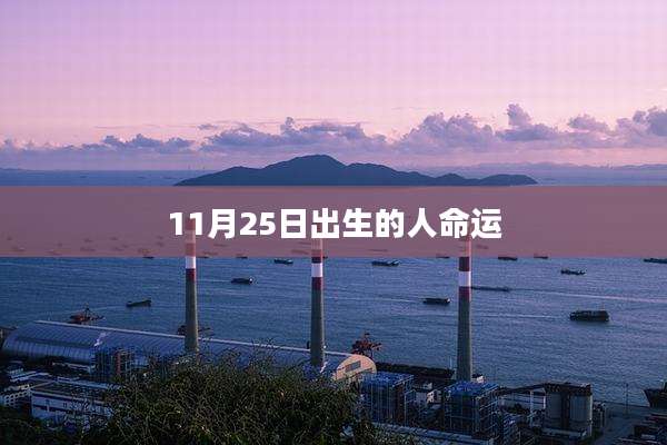 11月25日出生的人命运