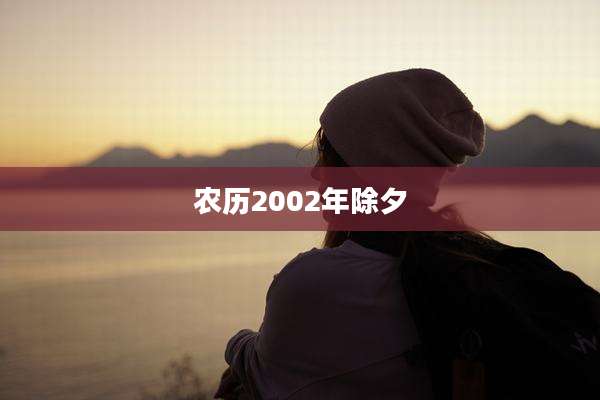 农历2002年除夕
