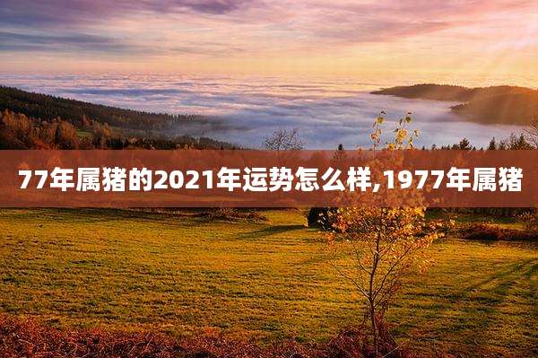 77年属猪的2021年运势怎么样,1977年属猪