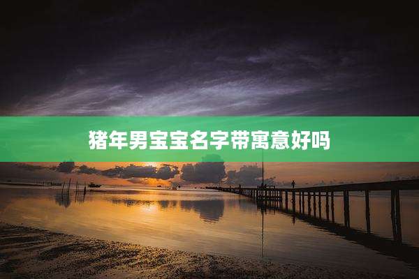 猪年男宝宝名字带寓意好吗