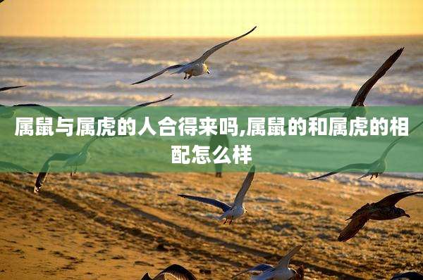 属鼠与属虎的人合得来吗,属鼠的和属虎的相配怎么样