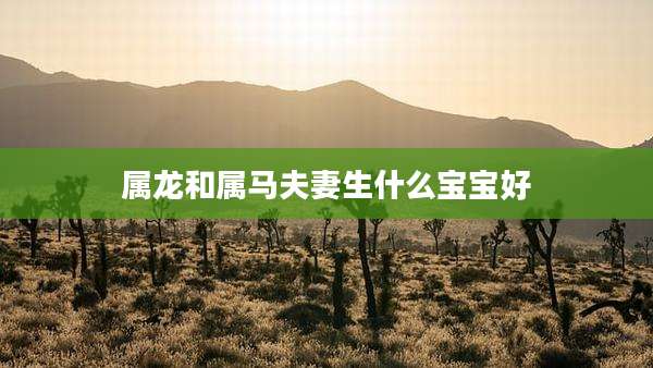 属龙和属马夫妻生什么宝宝好