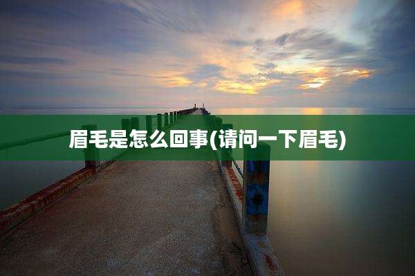 眉毛是怎么回事(请问一下眉毛)