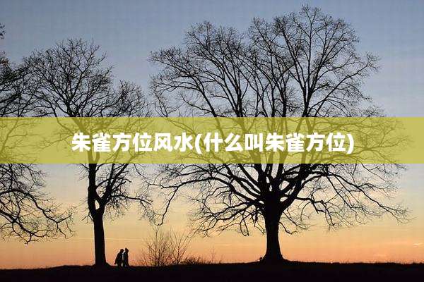 朱雀方位风水(什么叫朱雀方位)