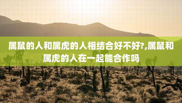 属鼠的人和属虎的人相结合好不好?,属鼠和属虎的人在一起能合作吗
