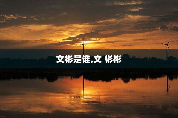 文彬是谁,文 彬彬