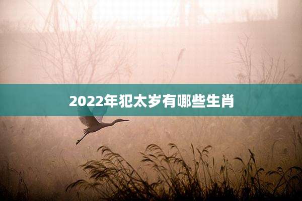 2022年犯太岁有哪些生肖