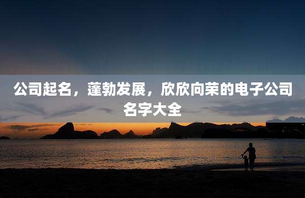 公司起名,蓬勃发展,欣欣向荣的电子公司名字大全