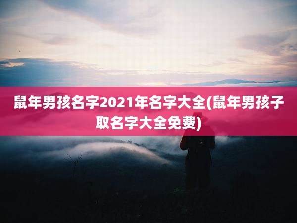 鼠年男孩名字2021年名字大全(鼠年男孩子取名字大全免费)