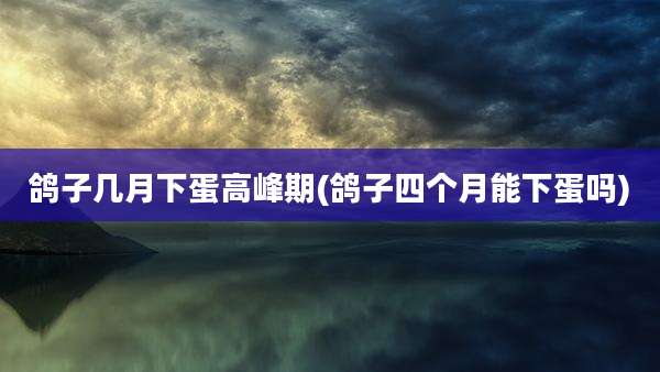 鸽子几月下蛋高峰期(鸽子四个月能下蛋吗)
